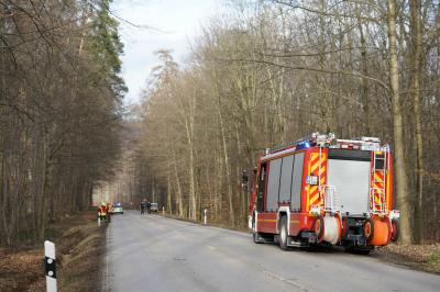 Aichwald: Baum droht auf Strasse zu stuerzen