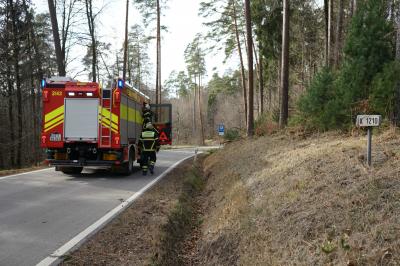 Baltmannsweiler-Hohengehren: Feuerwehr muss Baum in Richtung Weinstadt-Baach entfernen - Strasse nun voll gesperrt wegen Windbruchgefahr