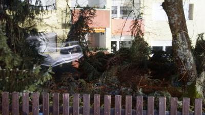 Pforzheim: Unwetter laesst Tanne auf Haus kippen