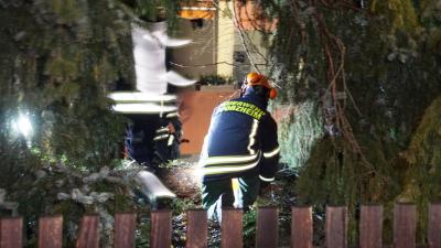 Pforzheim: Unwetter laesst Tanne auf Haus kippen