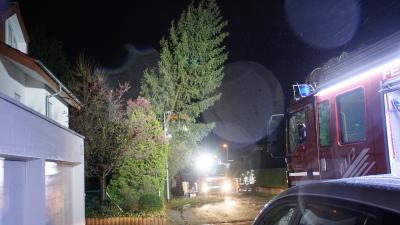 Pforzheim: Unwetter zieht vorueber und bringt entwurzelte Baeume - Feuerwehr im Dauereinsatz
