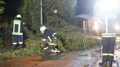 Pforzheim: Unwetter zieht vorueber und bringt entwurzelte Baeume - Feuerwehr im Dauereinsatz