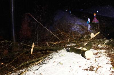 Uhingen-Baiereck: Baum stuerzt auf Fahrbahn - Feuerwehr beseitigt massiven Baum 