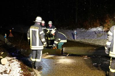 Uhingen-Baiereck: Baum stuerzt auf Fahrbahn - Feuerwehr beseitigt massiven Baum 