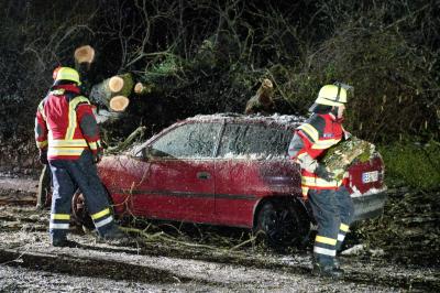 Aichwald-Aichschiess: Baum faellt auf Pkws