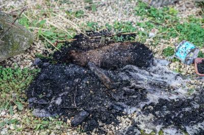 Esslingen-Waeldenbronn: Blumenkasten brannte