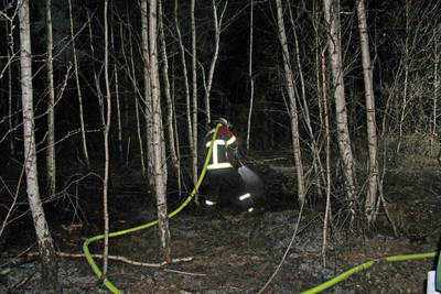 Altdorf: Unterholz brennt im Wald