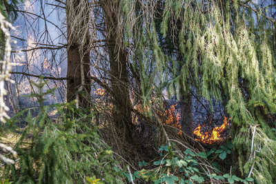 Weinstadt-Baach: Feuer im Garten entwickelt sich zum Flaechenbrand