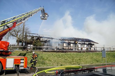 Herrenberg-Gueltstein: Brand einer Scheune - zwei Pferde konnten gerettet werden