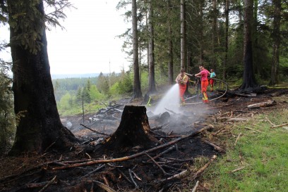 Dobel: Waldbrand