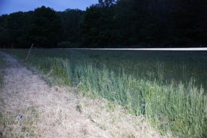 Denkendorf: Audi auf Irrfahrt durch Wiese, Gebuesch und anschliessend eine Boeschung hinab und Stoppt kurz vor Bachbett