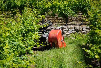 Besigheim: Traktor kippt im Weinberg um - Fahrer durch Feuerwehr befreit 