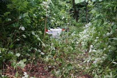 Lichtenwald: PKW kommt auf der L1151 von der Fahrbahn ab und faehrt 30 Meter die Moeschung hinab