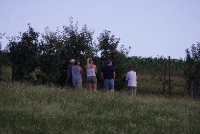 Uhingen: Bei Imker arbeiten - Bienenhaeuser abgebrannt