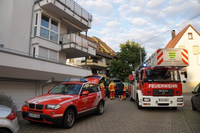 Filderstadt-Bonlanden: Schwalbe durch Feuerwehr aus misslicher Lage befreit