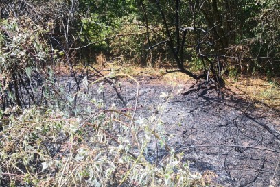 Sachsenheim/Sersheim: Flaechenbrand auf Getreidefeld