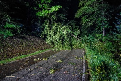 Gschwend: Baeume stuertzen auf Kreisstrasse