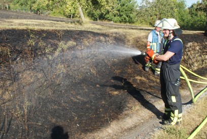 Koenigsbach-Stein - Zeugen gesucht: Groesserer Flaechenbrand loest Feuerwehr Einsatz aus
