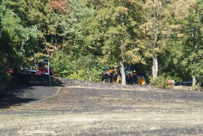 Koenigsbach-Stein - Zeugen gesucht: Groesserer Flaechenbrand loest Feuerwehr Einsatz aus