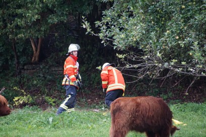 Hochdorf: Gartenfeuer greift auf Gartenhuette ueber
