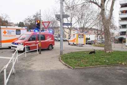 Pforzheim: an der Brettenerstr. kam es zu einem Kreuzungsunfall - eine Person verletzt