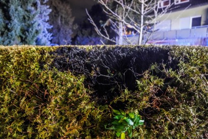 Kirchheim unter Teck: Heckenbrand loest groesseren Einsatz aus