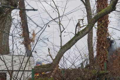 Koenigsbach: Gartenhuette Vollbrand fuehrt zu einem Grosseinsatz der Feuerwehr