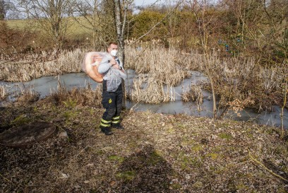 Steinenbronn: Altoel im Teich entsorgt - Feuerwehr im stundenlangen Einsatz