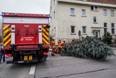 Koengen: Sturm laesst Baum auf Strasse fallen