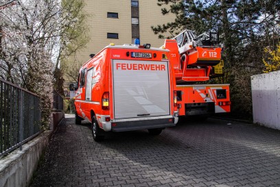 Sindelfingen: Die Feuerwehr wurde zu einer Taubenrettung gerufen