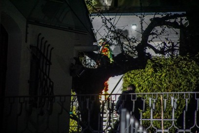 Leonberg: Gestruepp brennt an einem Schuppen.