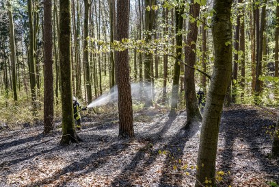 Schorndorf-Schornbach: Ueber 2 Hektar Waldboden in Flammen