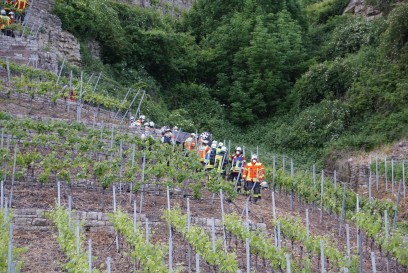 Hessigheim: PKW kracht 80m Weinberg herab, Insasse verstirbt