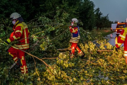 Denkendorf: Sturm laesst Baum auf Landstrasse fallen 