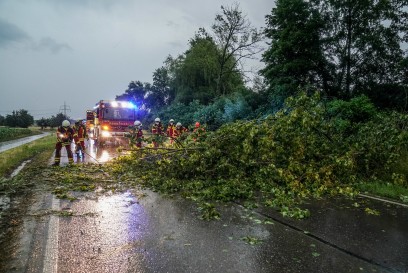 Denkendorf: Sturm laesst Baum auf Landstrasse fallen 
