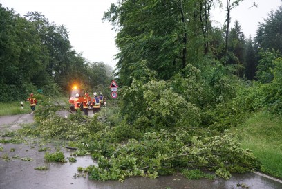 Uhingen - Wangen: Stuerme entwurzeln Baeume - Feuerwehr im Einsatz