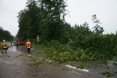 Uhingen - Wangen: Stuerme entwurzeln Baeume - Feuerwehr im Einsatz