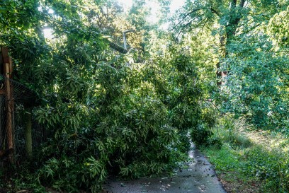 Pluederhausen: mehrere Sturmschaeden im Ort 