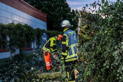 Gaeufelden-Nebringen: Baum knallt nach Sturm auf Industriegebaeude
