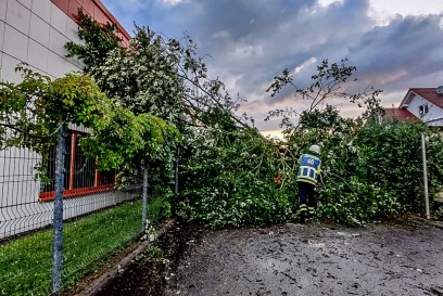 Gaeufelden-Nebringen: Baum knallt nach Sturm auf Industriegebaeude
