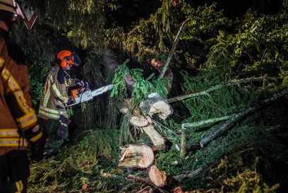 Weissach im Tal-Cottenweiler: Blitz schlaegt in Baum ein und spaltet ihn