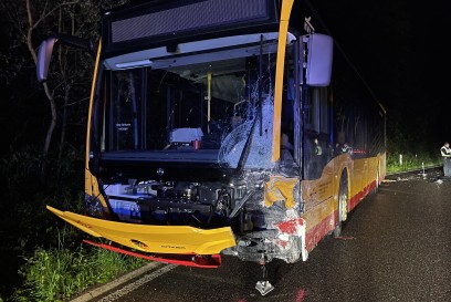 Hohenwettersbach: Toedlicher Verkehrsunfall BMW contra Linienbus 