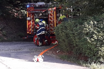 Bad Urach: Brennender Baum im Wald, das sorgt fuer Feuerwehreinsatz