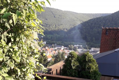 Bad Urach: Brennender Baum im Wald, das sorgt fuer Feuerwehreinsatz