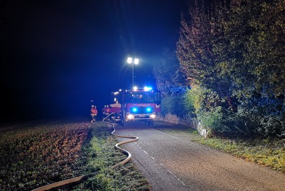 Holzgerlingen: Feuerwehreinsatz wegen brennendem Baum und Holzstapel