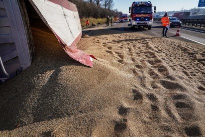 A8/Denkendorf: Sattelzug mit Getreide kippt um und sorgt fuer Verkehrschaos