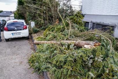 Adelberg: Baum Stuerzt auf Stromkasten und Auto
