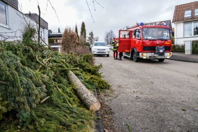 Adelberg: Baum Stuerzt auf Stromkasten und Auto