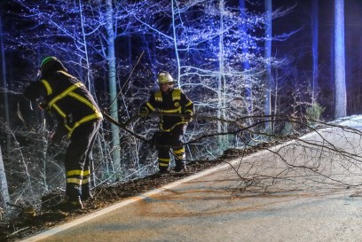 Baltmannsweiler: Sturm laesst Baum umstuerzen