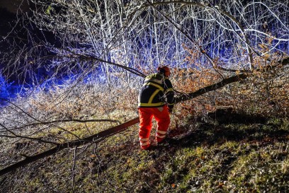 Baltmannsweiler: Sturm laesst Baum umstuerzen